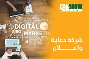 الإستراتيجيات الفائزة في الدعاية عبر محركات البحث SEM: تحسين الرؤية وزيادة الأرباح