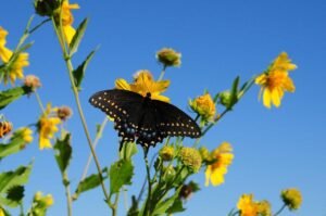 المساعد الذكي: كيف تغير الذكاء الاصطناعي مفهوم مساعدي الأعمال؟
