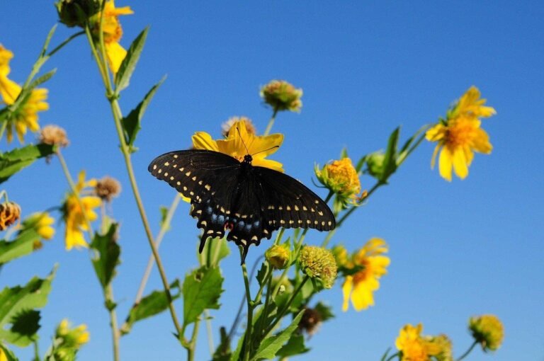 المساعد الذكي: كيف تغير الذكاء الاصطناعي مفهوم مساعدي الأعمال؟