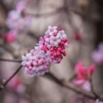 تحقيق النجاح بقوة الذكاء الاصطناعي: كيف يمكن للتكنولوجيا الحديثة تعزيز كفاءتك وإنتاجيتك