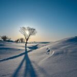 التفوق والكفاءة في الأعمال باستخدام نظام تخطيط موارد المؤسسات (ERP): الدليل الشامل لتحقيق النجاح