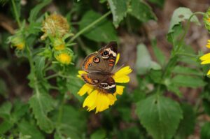 أفضل الأساليب المثلى لتحسين ترتيب موقعك على محركات البحث: دليلك الشامل لتقنيات السيو