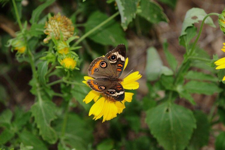 المساعدون الذكياء: كيف تغير الذكاء الصناعي طريقة تنظيم حياتنا اليومية؟