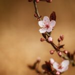 التأثير المذهل للذكاء الاصطناعي على شكل وسائل التواصل الاجتماعي الحديثة: فكر وتواصل بذكاء!