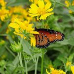 الذكاء الاصطناعي: تقنيات متطورة تغير مسار العالم الرقمي